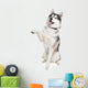 Siberian Husky Wall Decal