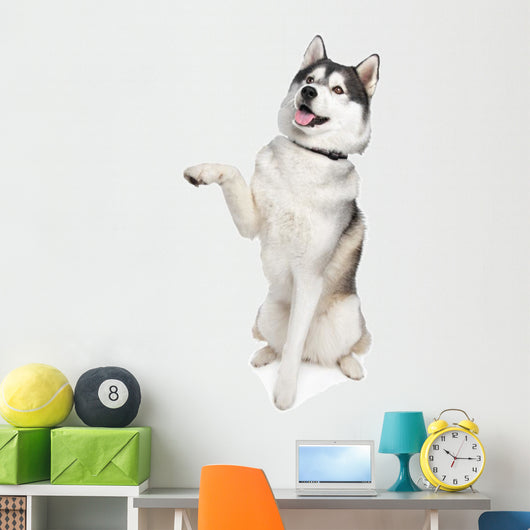 Siberian Husky Wall Decal