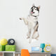 Siberian Husky Wall Decal
