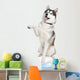 Siberian Husky Wall Decal
