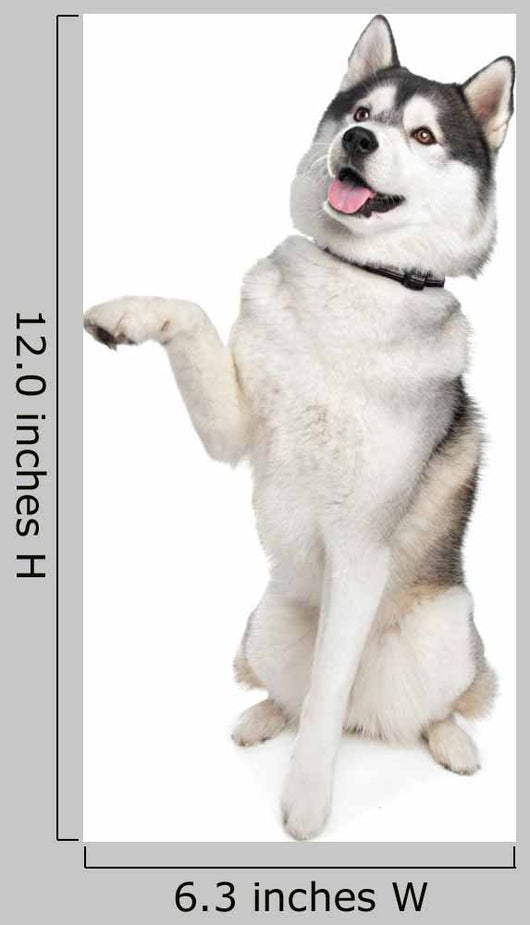Siberian Husky Wall Decal