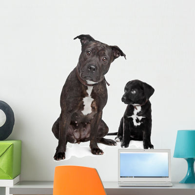 Two Mixed Breed Dogs Wall Decal shown on a wall