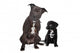 two mixed breed dogs Wall Decal
