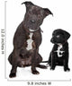 two mixed breed dogs Wall Decal