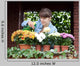 Gardener Caring for Plants