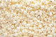 Popcorn background Wall Mural