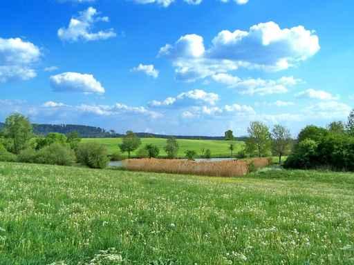 Dietingen Wall Decal