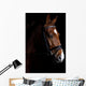 Pony