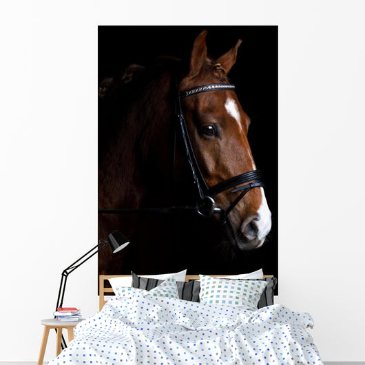 Pony