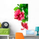 Hibiscus Flower White Wall Decal