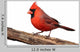 Cardinal Stump Wall Decal