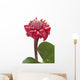 Tropical Flower Torch Ginger Wall Decal