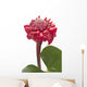 Tropical Flower Torch Ginger Wall Decal