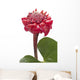 Tropical Flower Torch Ginger Wall Decal