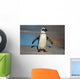 African Penguin South Africa Wall Mural