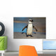African Penguin South Africa Wall Mural