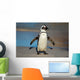 African Penguin South Africa Wall Mural