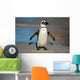 African Penguin South Africa Wall Mural
