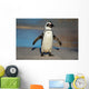African Penguin South Africa Wall Mural