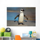 African Penguin South Africa Wall Mural