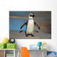 African Penguin South Africa Wall Mural