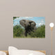 Angriffslustiger Elefantenbulle Wall Mural
