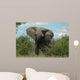 Angriffslustiger Elefantenbulle Wall Mural
