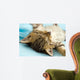Kitten Wall Decal