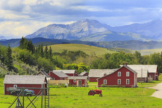 Bar U Ranch National Historic Site Wall Mural