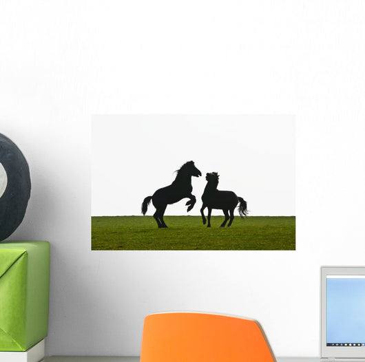 Horses playing Wall Mural