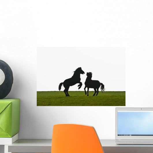 Horses playing Wall Mural