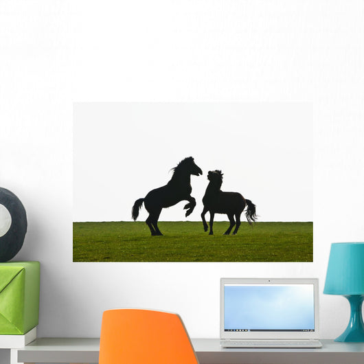 Horses playing Wall Mural