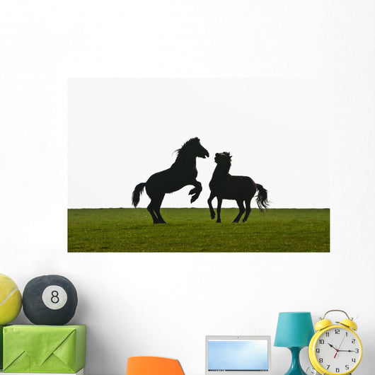 Horses playing Wall Mural