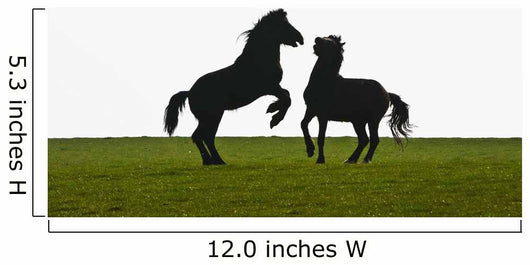 Horses playing Wall Mural