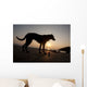 A dog with his ball at sunset at Whitesands Beach Wall Mural