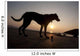 A dog with his ball at sunset at Whitesands Beach Wall Mural