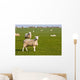 Field of sheep and lambs near Newport on Pembrokeshire Coast Path Wall Mural