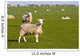 Field of sheep and lambs near Newport on Pembrokeshire Coast Path Wall Mural