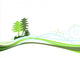Sapins Hiver Wall Mural
