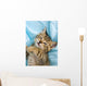 Sweet Cat