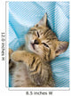 Sweet Cat
