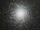 M13 Wall Decal