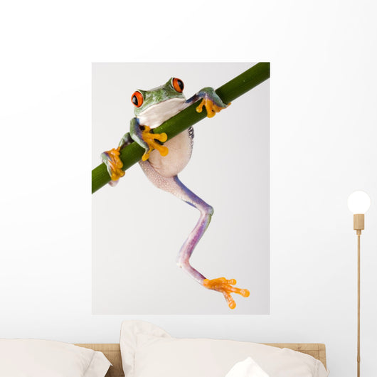 Crazy Frog Wall Decal