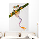 Crazy Frog Wall Decal