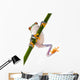 Red Eyed Tree Frog Wall Decal