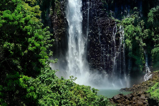 Tropical waterfall jungle Wall Mural