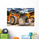 Bulldozer at construction yard Wall Mural