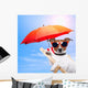 Dog Sunbathing Deck Chair