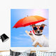 Dog Sunbathing Deck Chair