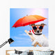 Dog Sunbathing Deck Chair